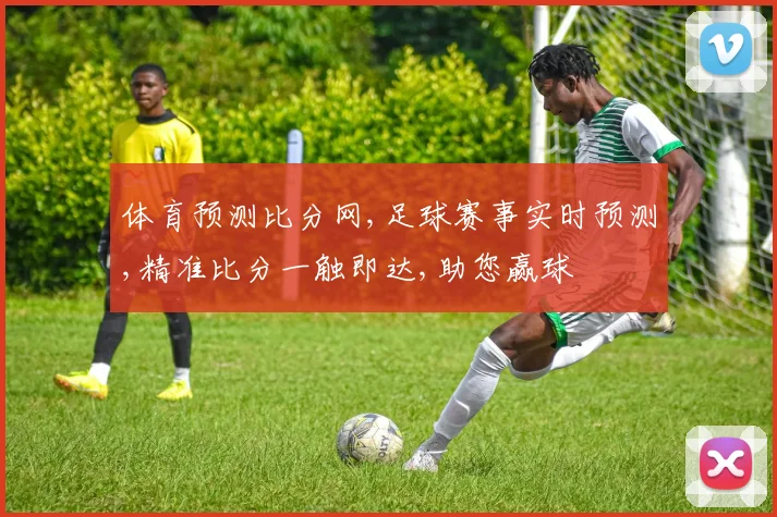 体育预测比分网,足球赛事实时预测,精准比分一触即达,助您赢球