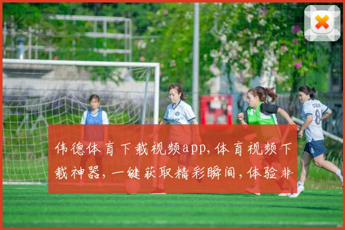 伟德体育下载视频app,体育视频下载神器,一键获取精彩瞬间,体验非凡