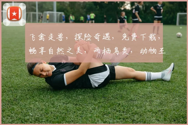飞禽走兽，探险奇遇，免费下载，畅享自然之美，两栖鸟类，动物王国，一应俱全