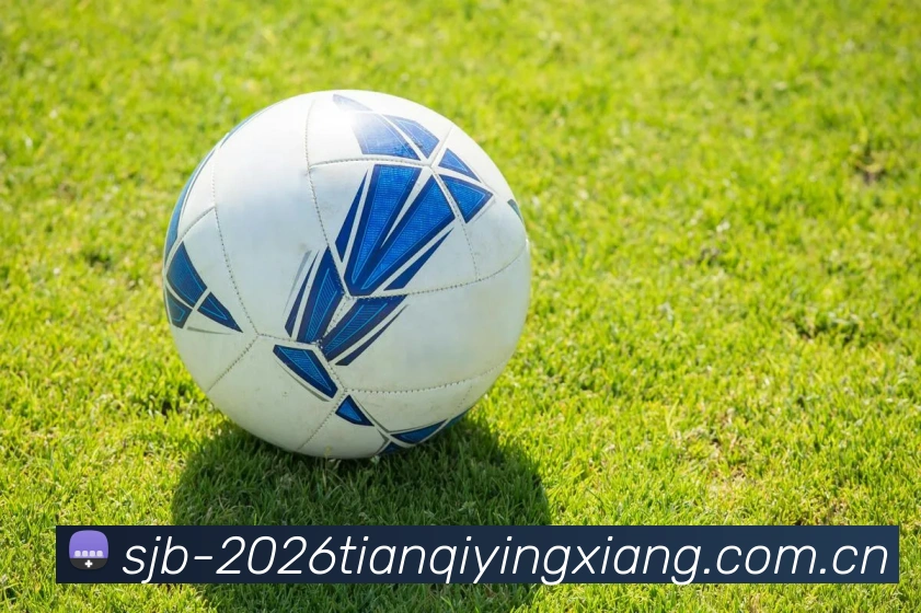 世界杯2026天气影响服务体系